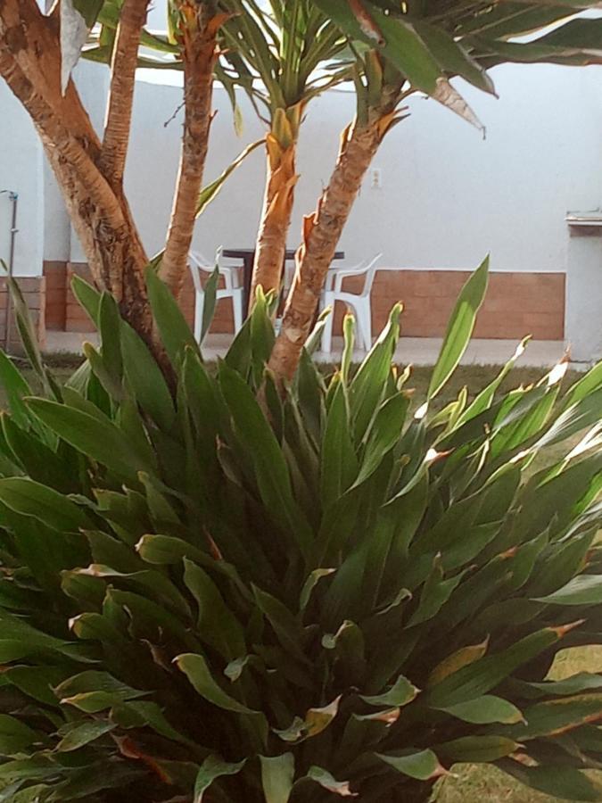 הוילה Barra de Jacuípe Casa Sol Nascente מראה חיצוני תמונה